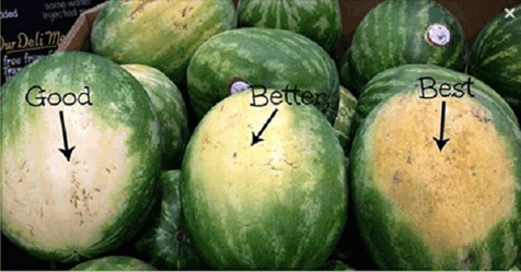 Cover Image for How to pick the best watermelon