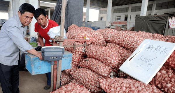 Cover Image for Your Garlic Is Being Imported From China, Filled With Bleach And Chemicals. Here’s How To Spot It