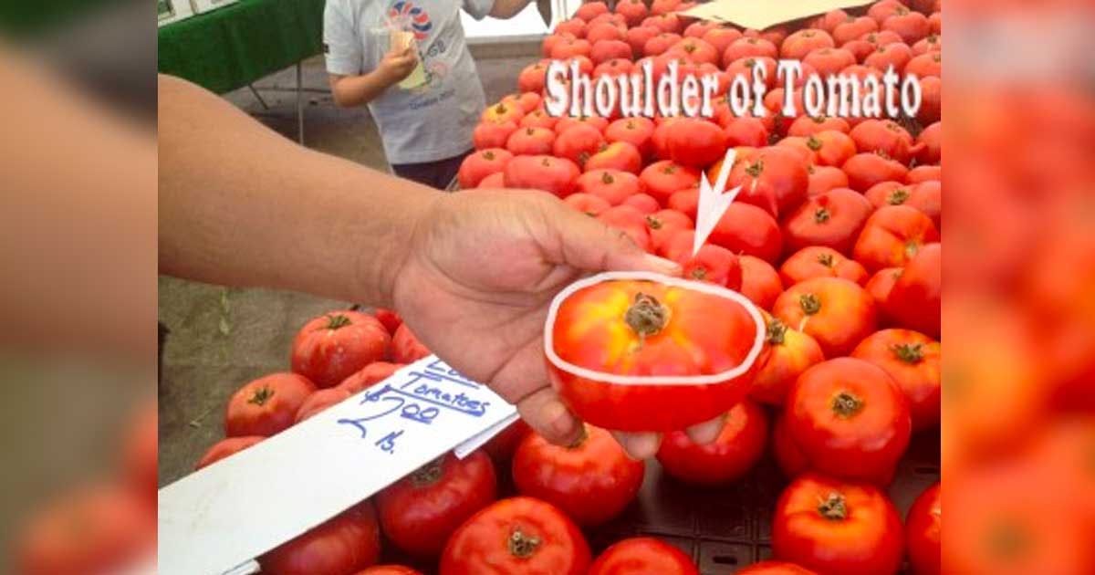 Cover Image for How to pick the perfect tomato: 7 key tips from an experienced farmer
