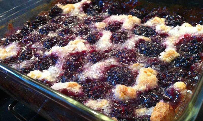 Cover Image for homemade kentucky blackberry cobbler