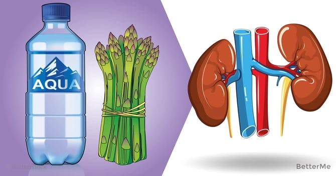 Cover Image for Avoid these 10 things that seriously damage your kidneys!