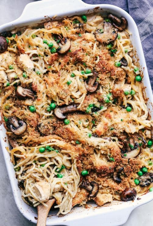 Cover Image for Chicken Tetrazzini Casserole